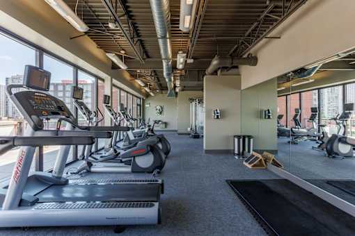 A gym with treadmills and elliptical machines.