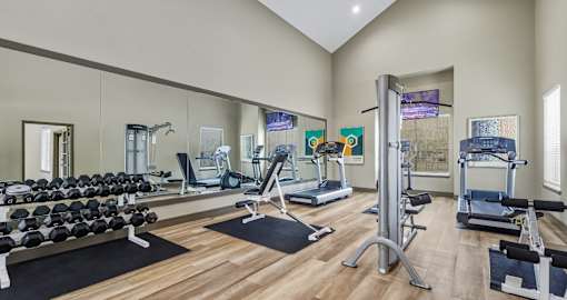 Recently remodeled, 24-hour fitness center with free weights, cardio machines, and workout equipment at Village on the Parkway Apartments in Houston Texas