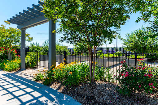 A garden with a white pergola and a black fence.