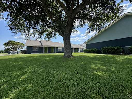 A tree stands in a grassy field in front of a house.