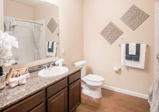 A bathroom with a toilet, sink, and a mirror.