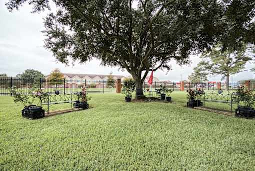 A tree in a pot sits in the middle of a grassy area.