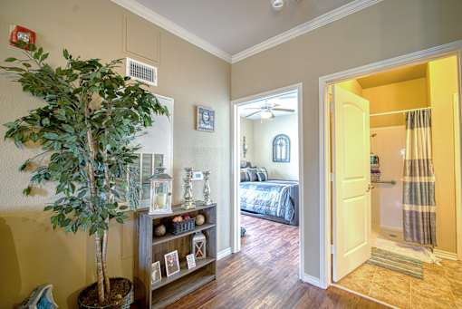 A room with a tree, a bed, and a shelf.