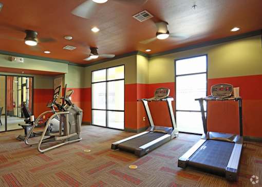 A gym with treadmills, elliptical machines and a fan.