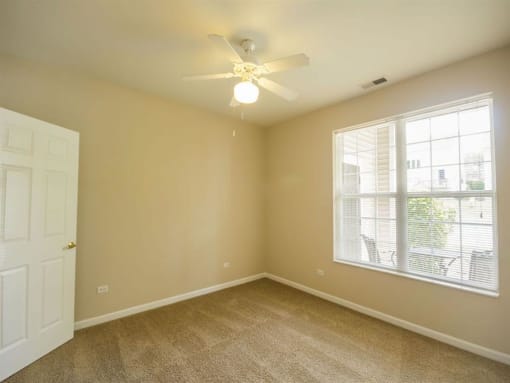 One Bedroom Master at Remington Apartment Homes, Illinois