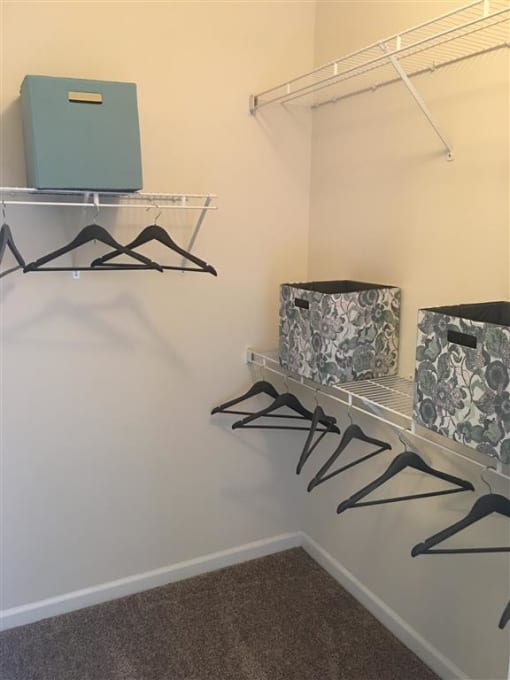 Model Walk In Bedroom Closet at Remington Apartment Homes, Romeoville, IL
