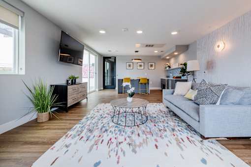 A living room with a grey couch and a patterned rug.