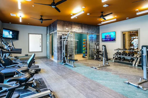 A modern fully equipped gym,