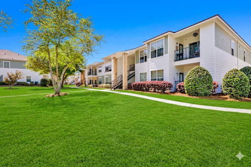 A tree stands in a grassy area in front of apartment buildings.