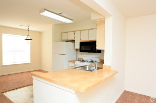 a kitchen with a sink and a stove and a refrigerator