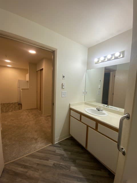 Vasa Creek Sink and Vanity