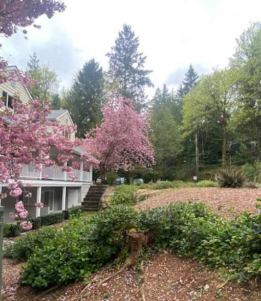 Vasa Creek Woods Exterior