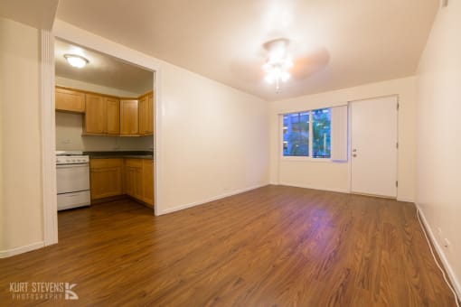 Moana Vista 1 Bedroom Living Area and Kitchen