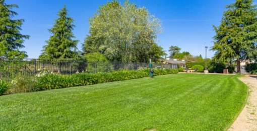 Vineyard Family landscape