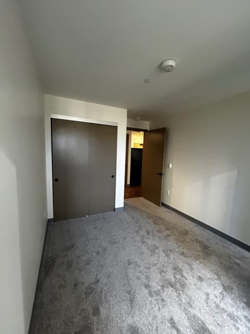 1060 Bishop one bedroom bedroom