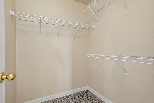 A white closet with a carpeted floor and a gold door.