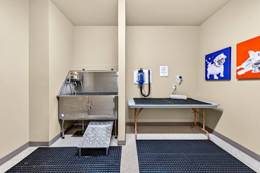 A room with a sink and a dog on the wall.