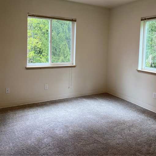 A room with a carpeted floor and two windows.