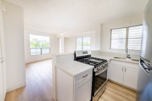 40 Waikahe Kitchen and Living Area