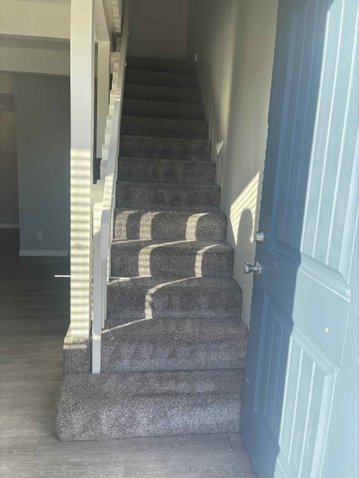a picture of our carpeted stairs before cleaning