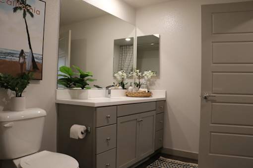 a bathroom with a toilet and a sink and a mirror