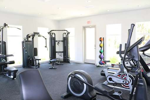 Amelia gym equipment