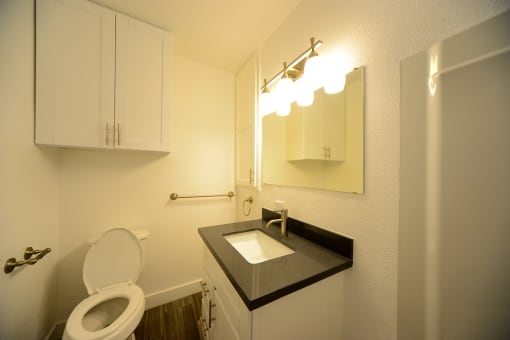 Atrium Court bathroom vanity and toilet