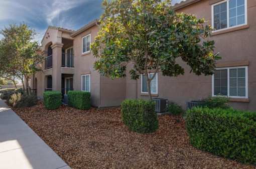 Avalon Family exterior