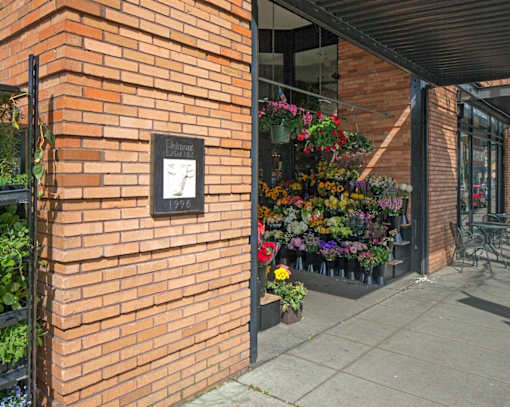 A brick wall with a plaque and a hanging flower basket.