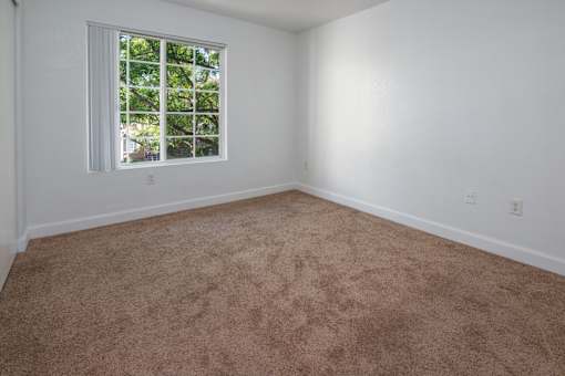 A room with a carpeted floor and a window.