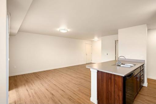 A kitchen with a sink and wooden floors.