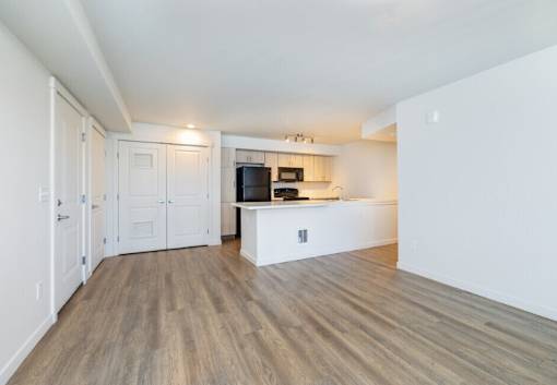 Copper Platte Living and Kitchen Area