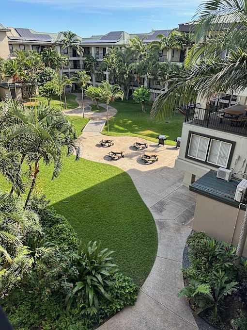 A courtyard with a lawn and a building in the background.