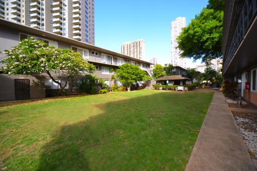 Moana Vista Apartments exterior building and yard