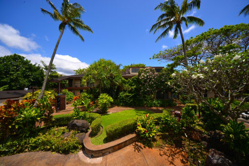 Coconut Inn garden