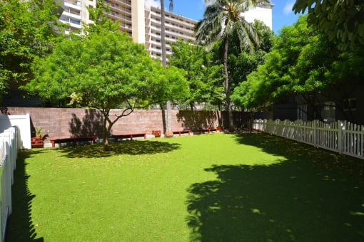 Moana Vista Apartments yard