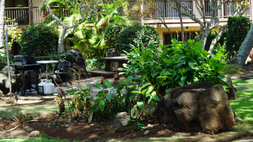 Coconut Inn Garden Courtyard & Barbecue