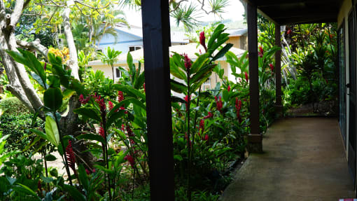 Coconut Inn Garden Porch Entrance