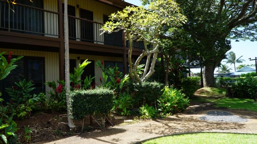Coconut Inn Garden Pathway