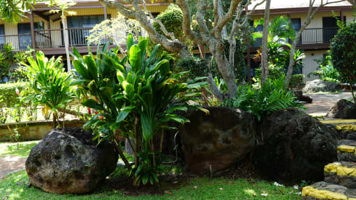 Coconut Inn Garden Foliage