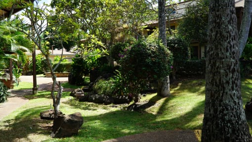 Coconut Inn Garden Walkway