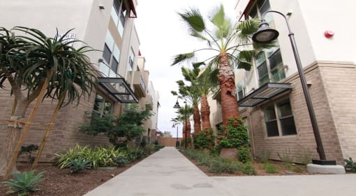 First Street - Walkway DNU