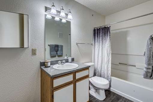 A bathroom with a sink, mirror, toilet, and bathtub.