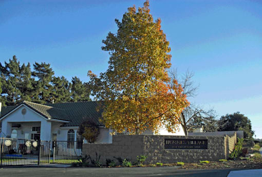 A tree with orange leaves stands in front of a building with a sign that reads "Bunnyville.".