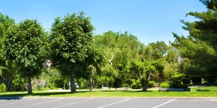 Englewood Garden Villas Exterior Grounds