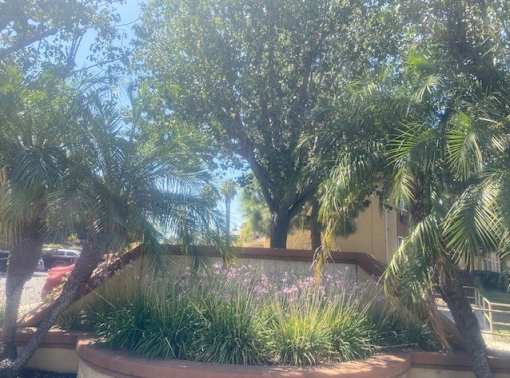 Irvine Inn landscape