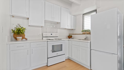 Kahakai Apartments Unit 20 kitchen