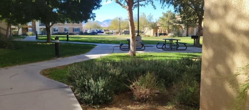 Larkspur Village picnic area