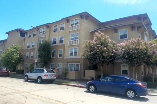 Las Brisas - Exterior Street View
