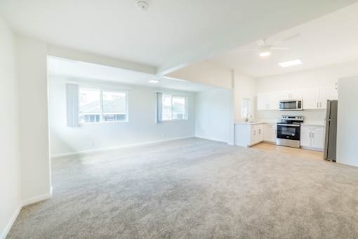 2612 Kapiolani Kitchen and Living Room